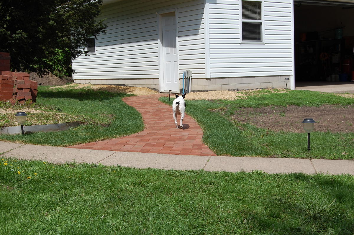 Clay recycled pavers provided by home owner installed as herringbone pattern.